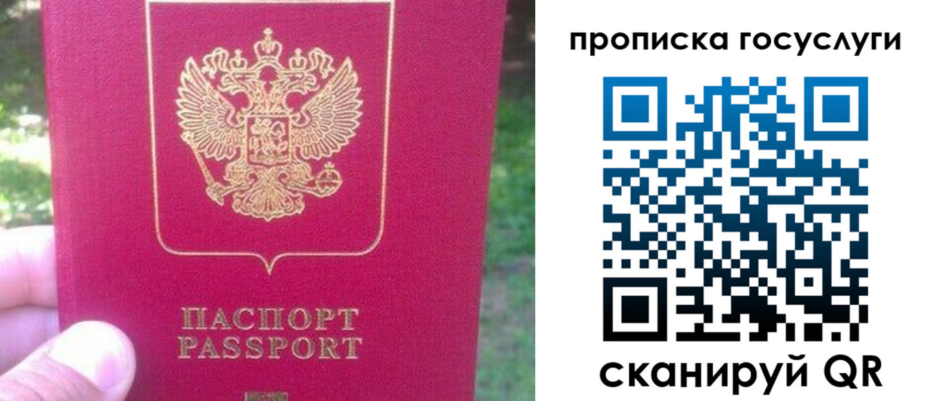 временная регистрация собственник в Белгороде